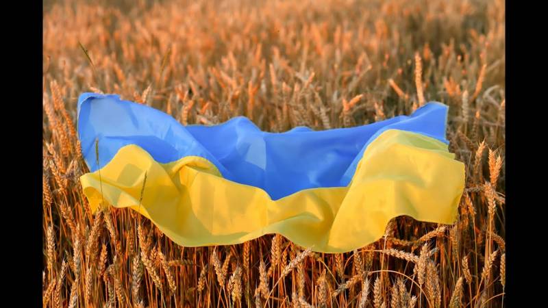 Платим за каждый вдох: Богатые украинцы побежали из Германии назад
